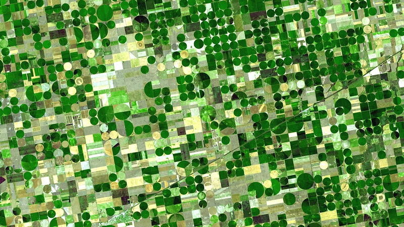 Illustration for article titled Center Pivot Irrigation: How to Grow Food in the Middle of the Sahara